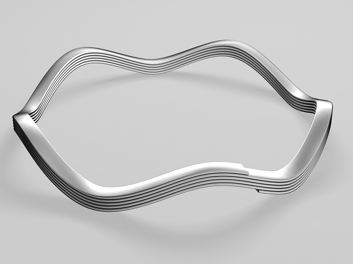 6.WAVE SPRING(겹형).jpg